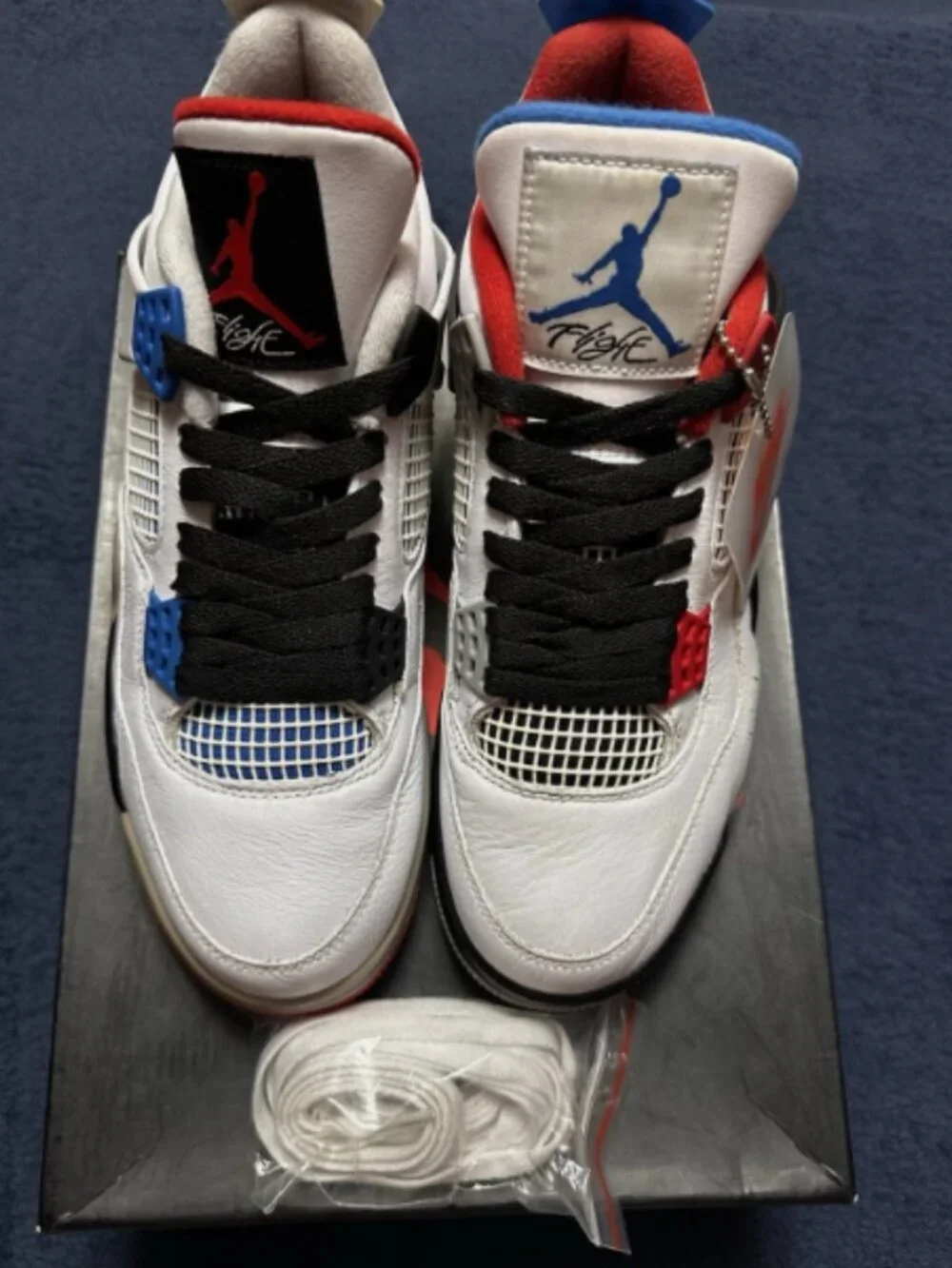 Jordan Air Jordan 4 Retro SE What